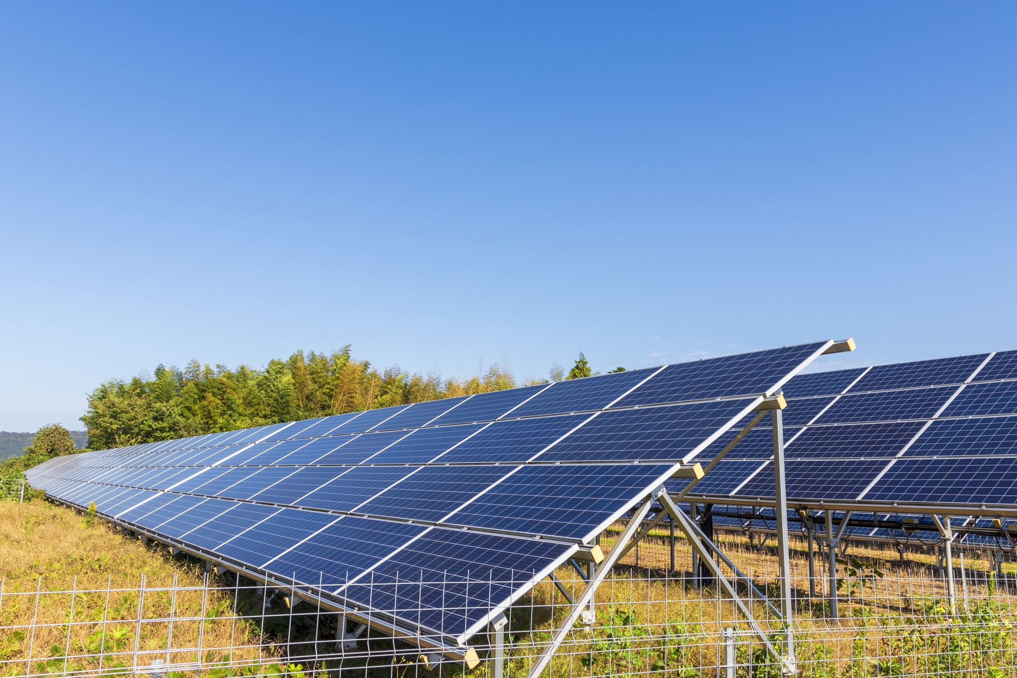 相互関税によって米国国内の太陽光・風力発電などの再エネ事業も先行きが見えない。画像はイメージです（出所：PIXTA）